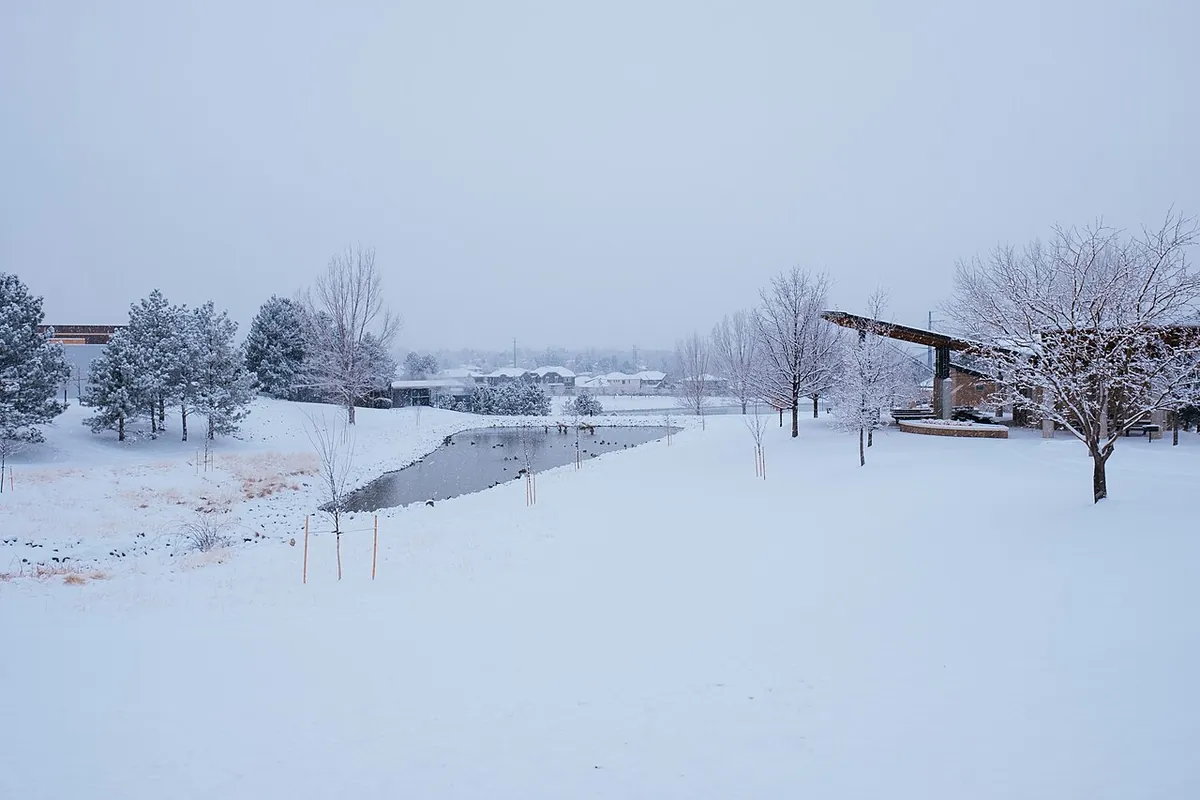 Parks after a fresh snow, Greenwood Village